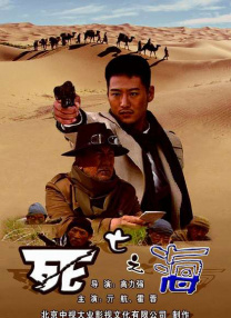国产精品久久久久免费a∨